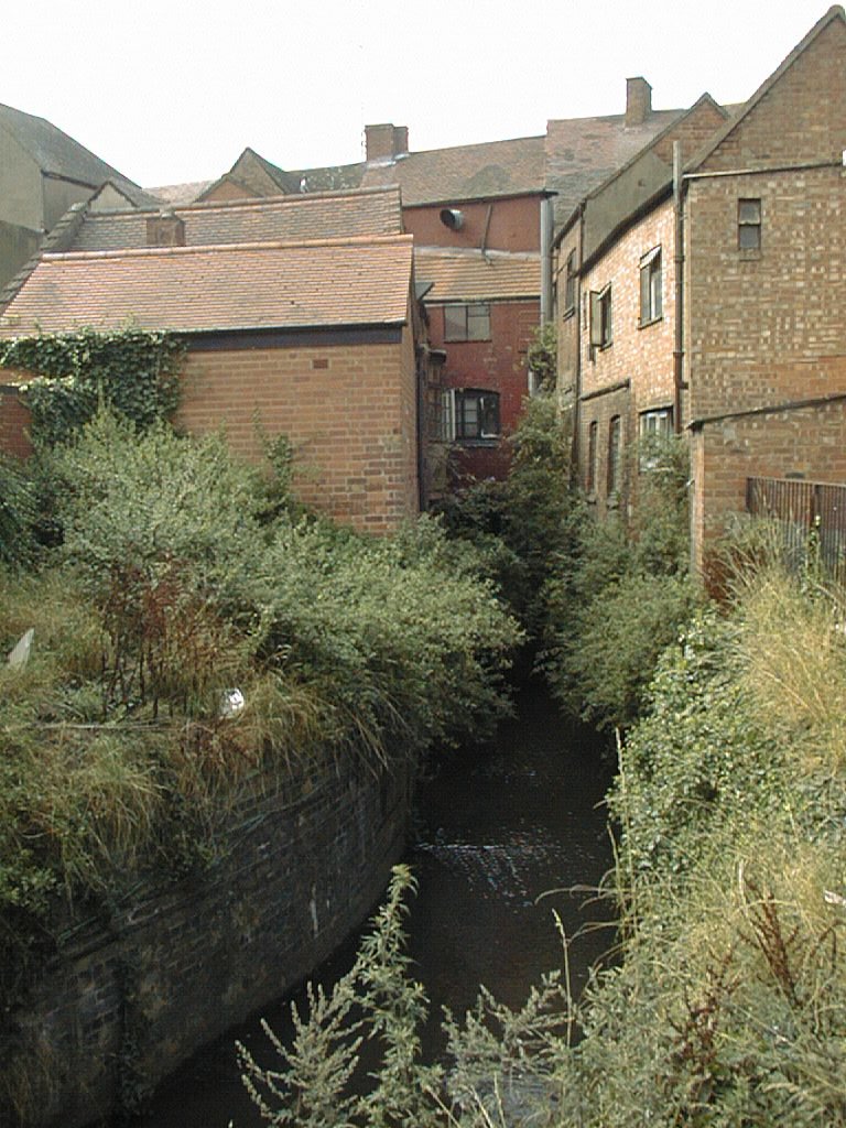 river in palmer lane